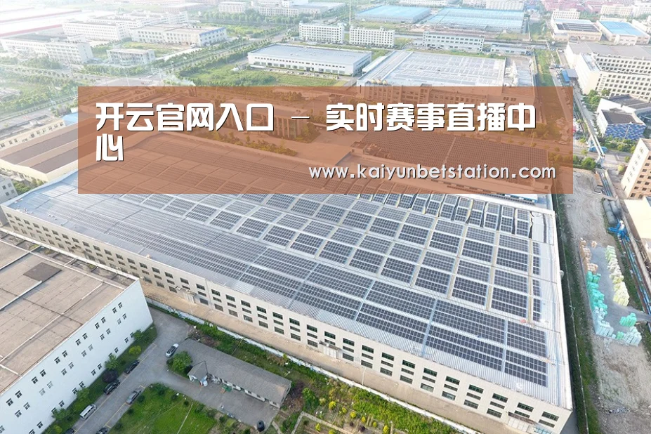 案例展示一
