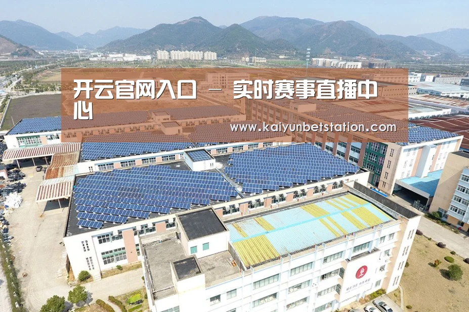 案例展示一