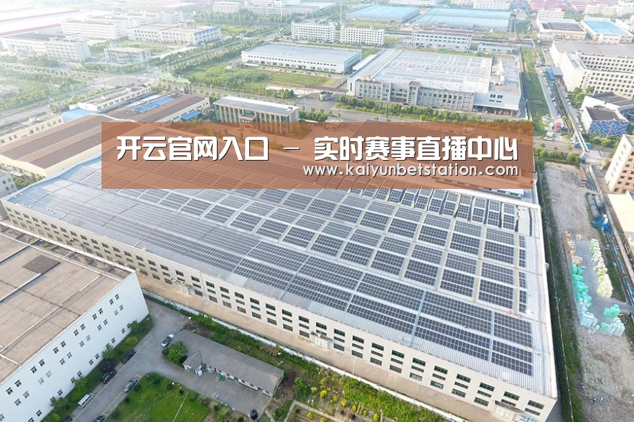案例展示二