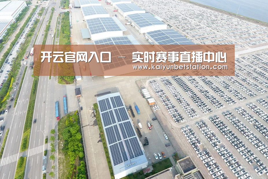 案例展示一