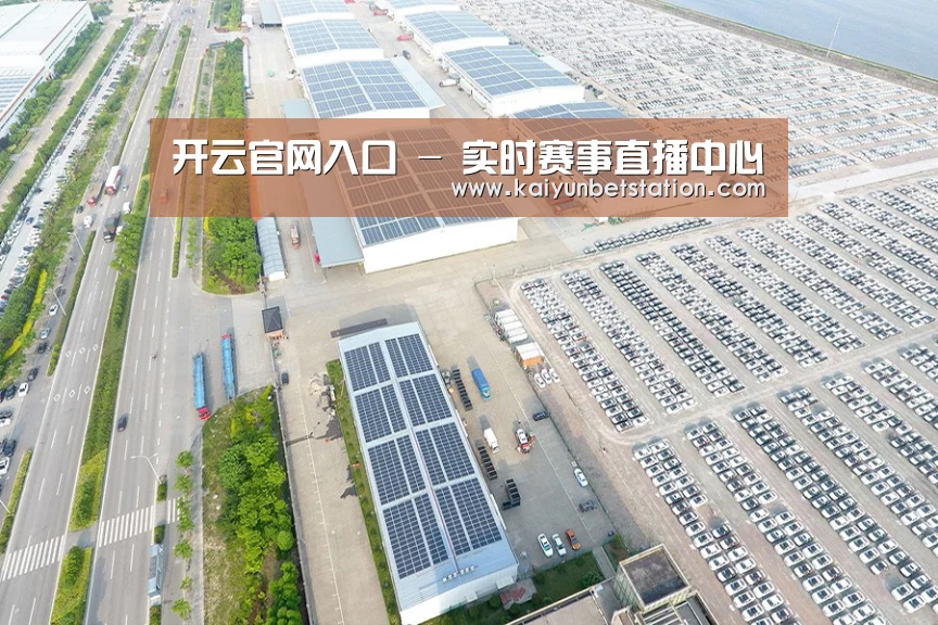案例展示一