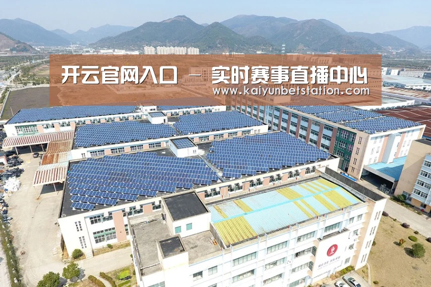 案例展示三