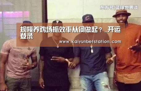 规模养鸡场抓效率从何做起?_开运登录(图2) 开运登录