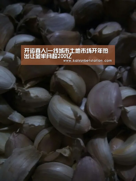 开运竞猜