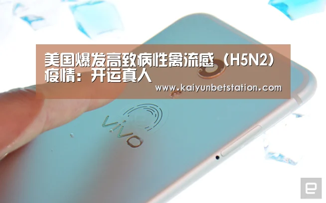 美国爆发高致病性禽流感(H5N2)疫情:开运真人(图1) 开运真人