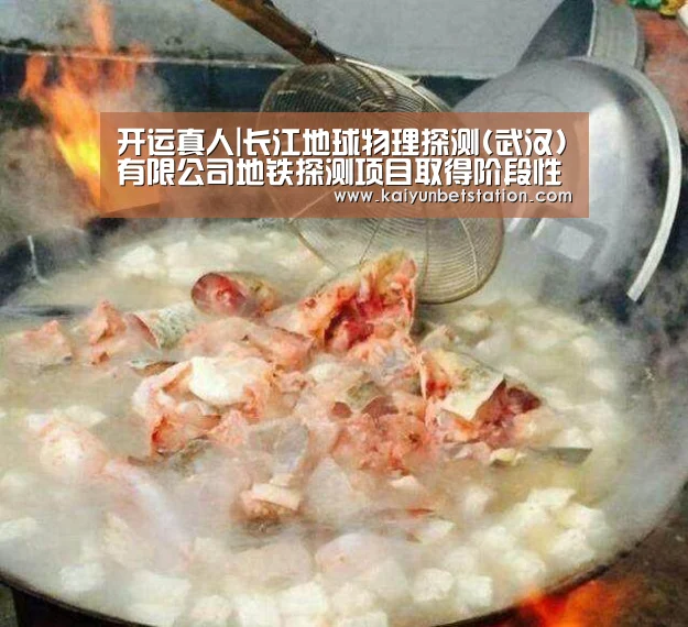 开运真人|长江地球物理探测(武汉)有限公司地铁探测项目取得阶段性进展(图1) 开运直播