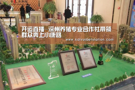 开运直播-深州养猪专业合作社带领群众奔上小康路(图1) 开运竞猜