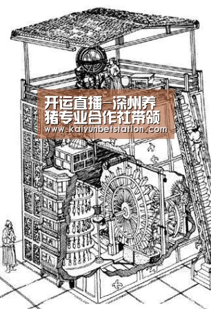 开运直播-深州养猪专业合作社带领群众奔上小康路(图4) 开运直播